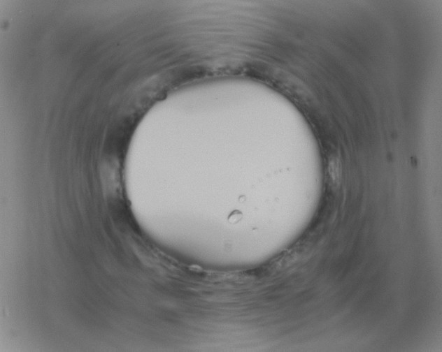 X0000076250963200610261936