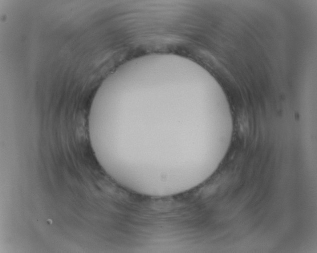 X0000076250964200610261936