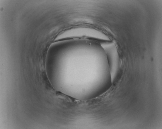 X0000076250965200610261936