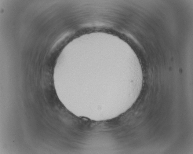 X0000076250967200610261936