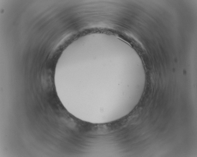 X0000076250968200610261936