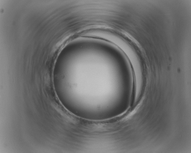 X0000076250969200610261936