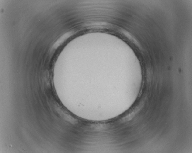 X0000076250970200610261936