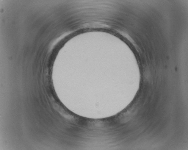 X0000076250971200610261936