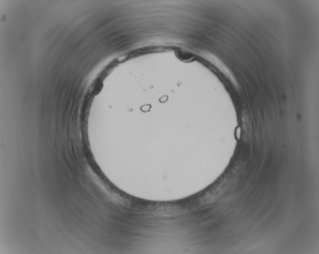 X0000076250972200610261936