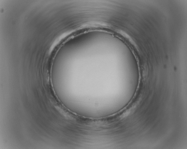 X0000076250973200610261936