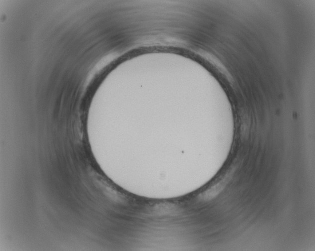 X0000076250974200610261936