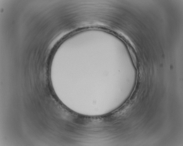 X0000076250975200610261936