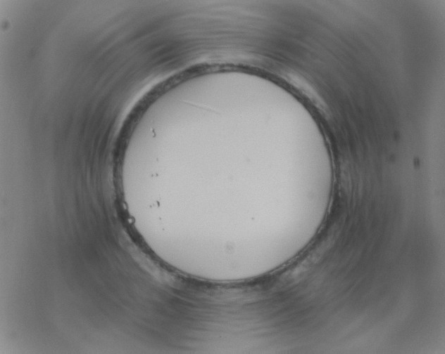 X0000076250976200610261936