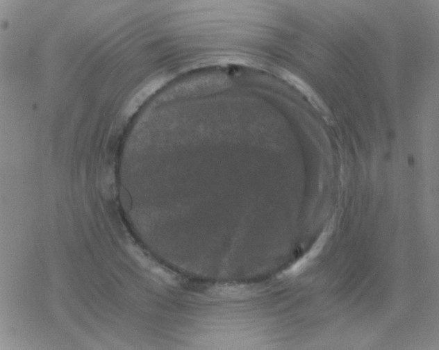 X0000076250977200610261936