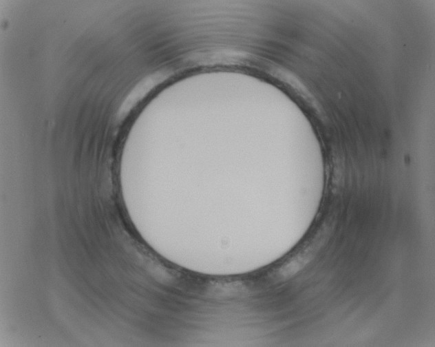 X0000076250978200610261936