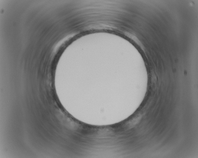 X0000076250979200610261936