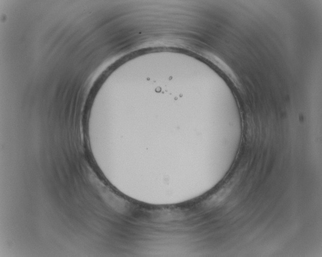 X0000076250980200610261936