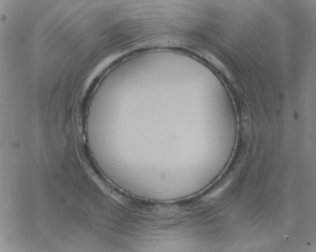 X0000076250981200610261936