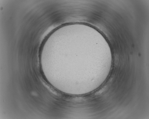 X0000076250982200610261936