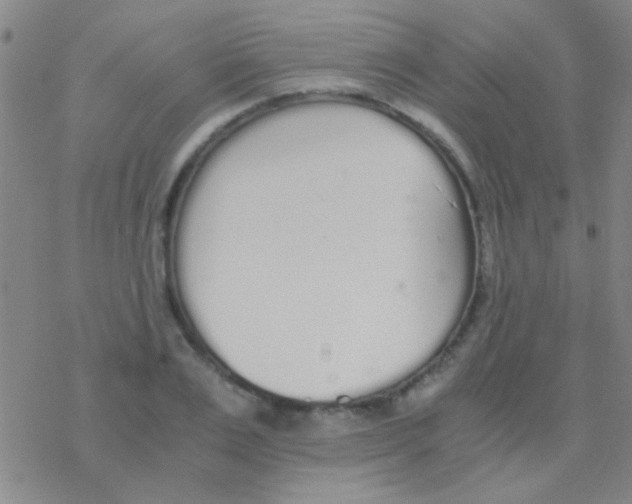 X0000076250983200610261936