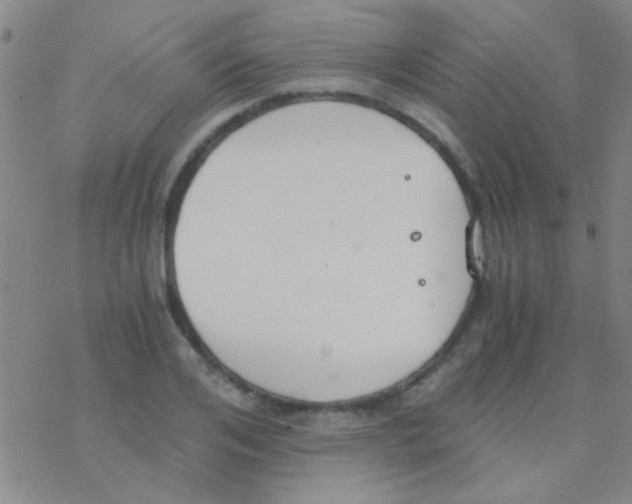 X0000076250984200610261936