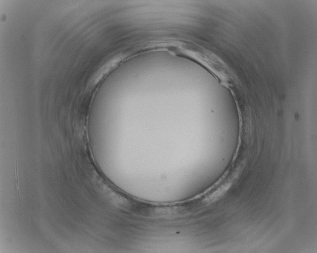 X0000076250985200610261936