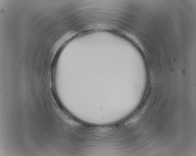 X0000076250987200610261936