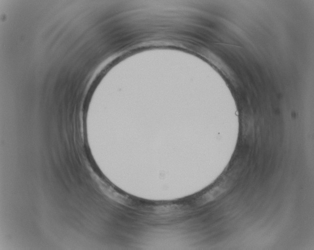 X0000076250988200610261936