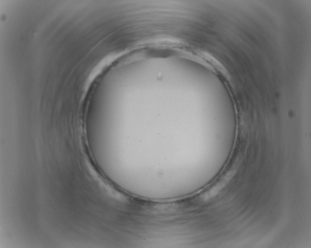 X0000076250989200610261936