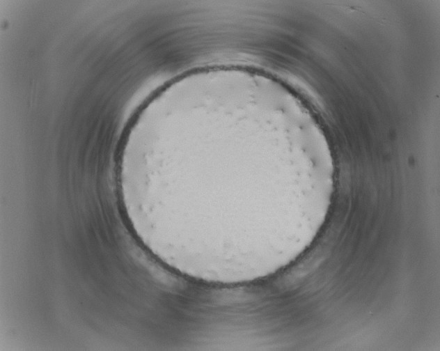 X0000076250990200610261936