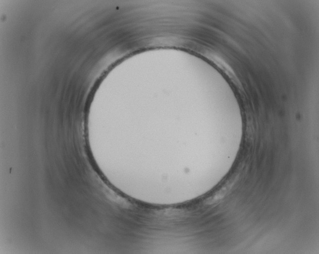 X0000076250992200610261936