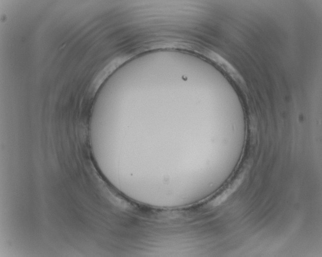 X0000076250993200610261936