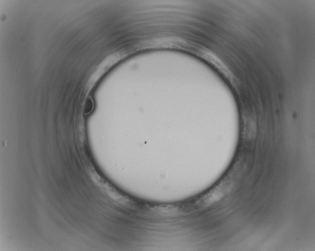 X0000076250994200610261936