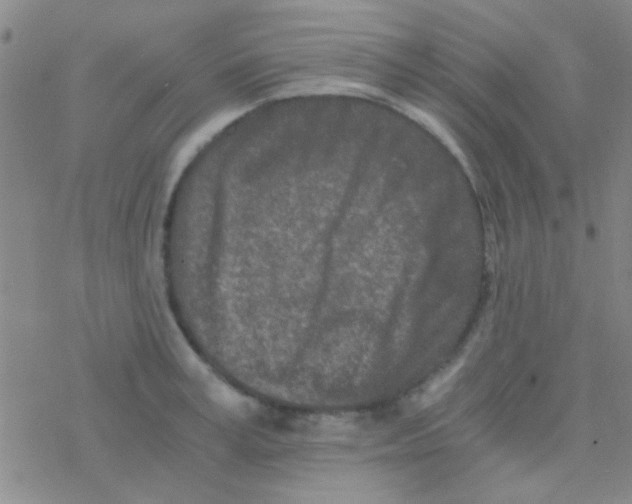 X0000076250995200610261936