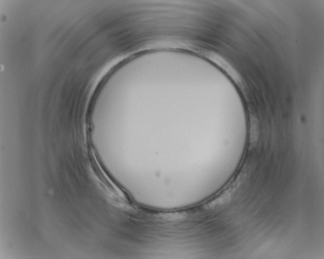 X0000076250996200610261936