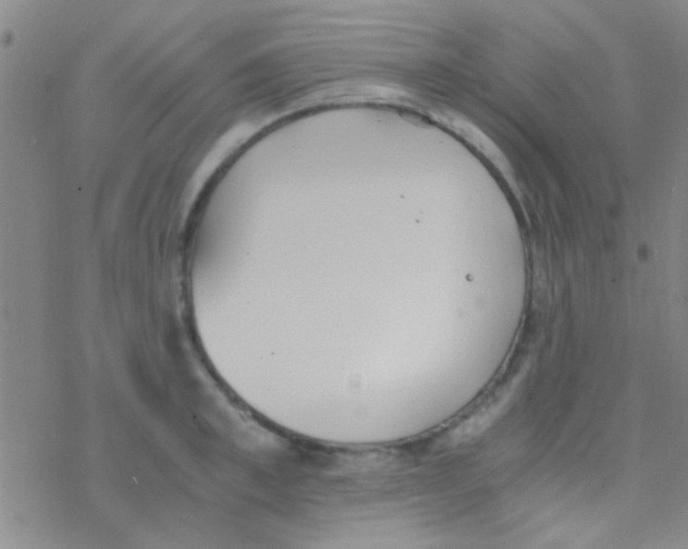 X0000076250997200610261936