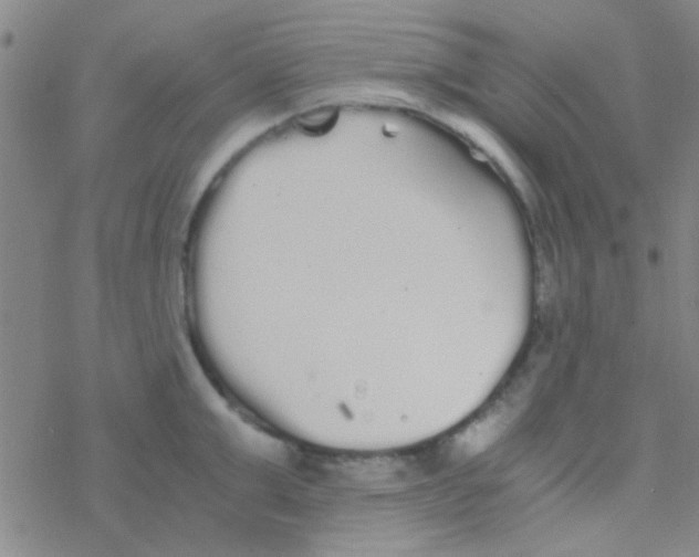 X0000076250999200610261936