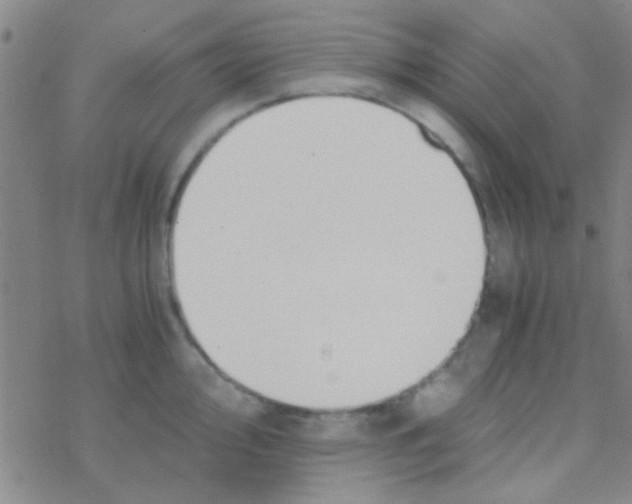 X0000076251000200610261936