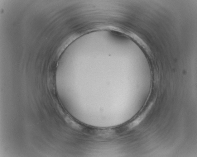 X0000076251001200610261936