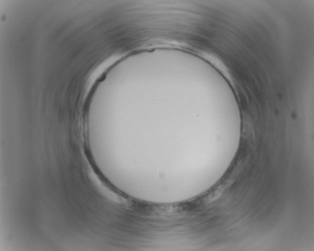 X0000076251003200610261935