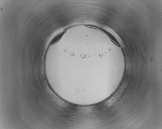 X0000076251004200610261935