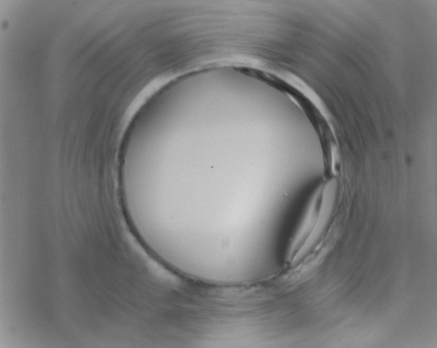 X0000076251005200610261935