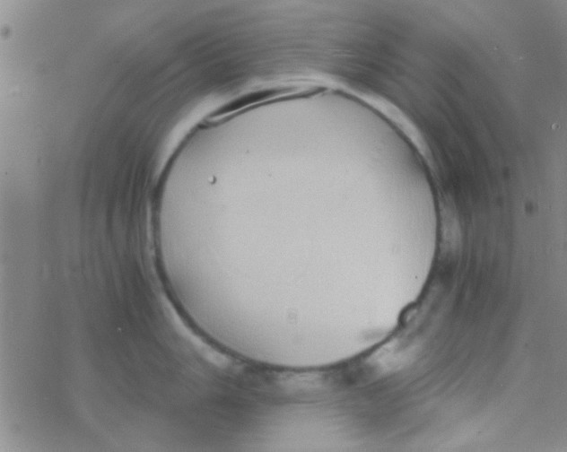 X0000076251006200610261935