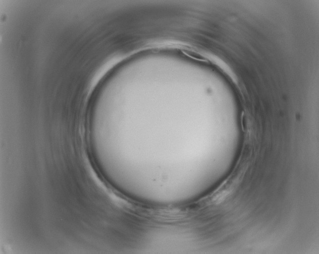 X0000076251007200610261935