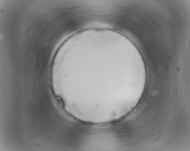 X0000076251008200610261935