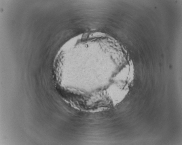 X0000076251009200610261935