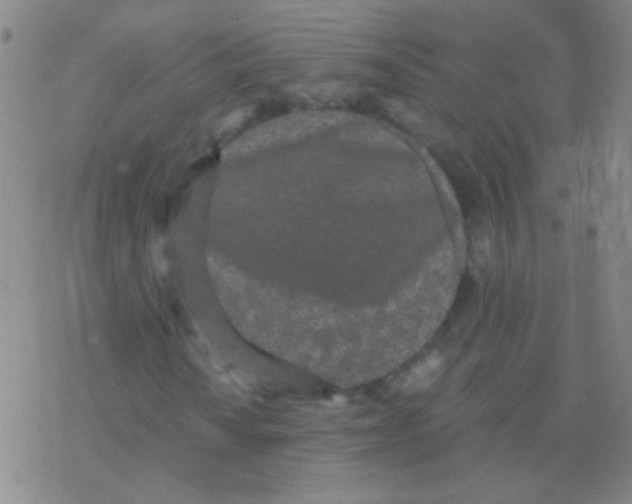 X0000076251010200610261935