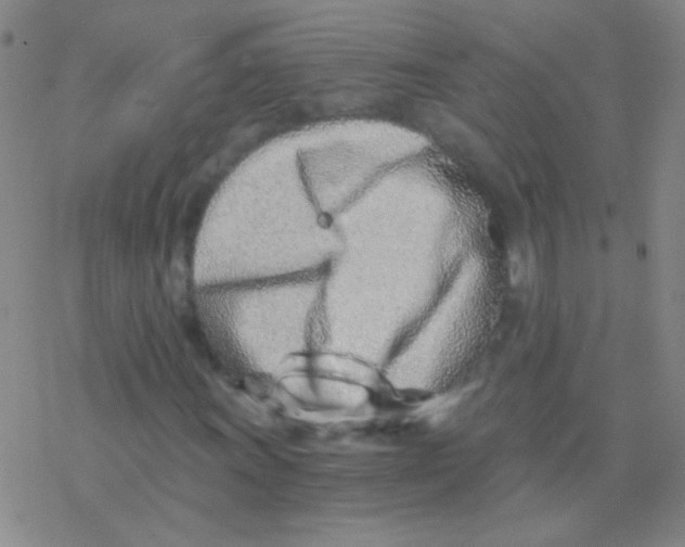 X0000076251011200610261935