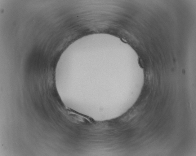 X0000076251012200610261935