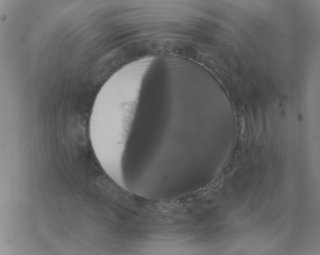 X0000076251013200610261935