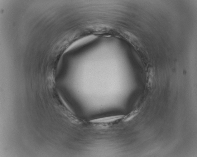 X0000076251014200610261935