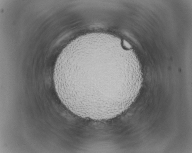 X0000076251015200610261935