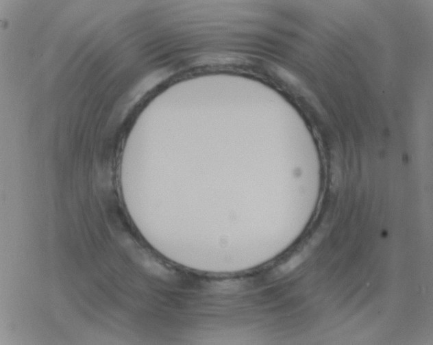 X0000076251017200610261935