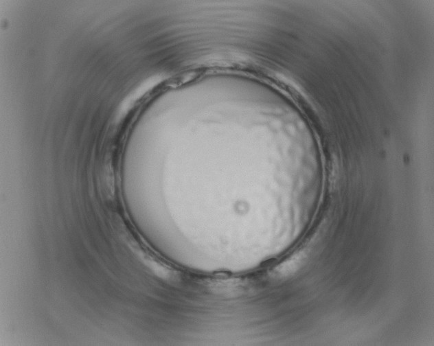 X0000076251018200610261935